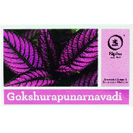 Гокшурапунарнавади Бипха - против инфекций мочевыводящих путей / Gokshurapunarnavadi Bipha 100 табл