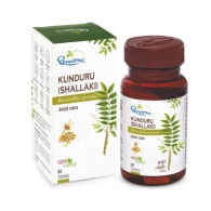 Шаллаки (Кундура) Дхутапапешвар - для здоровья костей и суставов / Shallaki (Kunduru) Dhootapapeshwar 500 мг 60 табл