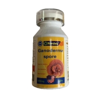Линчжи Ганодерма / Ganoderma Spore Newsbeta 100 капсул 500 мг