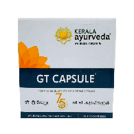 GT Капсула - от остеоартрита / GT Capsule Kerala Ayurveda 100 кап