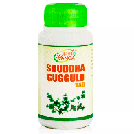 Шуддха Гуггул Шри Ганга - для очищения от шлаков и токсинов / Shuddha Guggulu Shri Ganga 120 табл