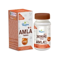 Амла Плюс с цинком Дхутапапешвар - для иммунитета / Amla Plus with Zinc Dhootapapeshwar 60 табл