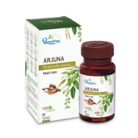 Арджуна Дхутапапешвар - для сердца и сосудов / Arjuna Dhootapapeshwar 500 мг 60 табл