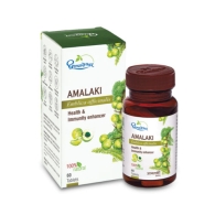 Амалаки Дхутапапешвар - антиоксидант / Amalaki Dhootapapeshwar 500 мг 60 табл