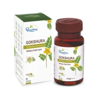 Гокшура Дхутапапешвар - для мочеполовой системы / Gokshura Dhootapapeshwar 500 мг 60 табл
