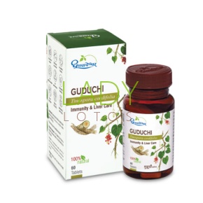 Гудучи Дхутапапешвар - для иммунитета / Guduchi Dhootapapeshwar 500 мг 60 табл