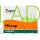 Капсулы при анемии / Hbcap Capro 100 кап