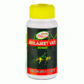 Шиладжит Вати Мумиё Шри Ганга - для оздоровления организма / Shilajeet Vati Shri Ganga 100 гр