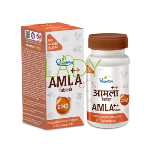 Амла Плюс с цинком Дхутапапешвар - для иммунитета / Amla Plus with Zinc Dhootapapeshwar 60 табл