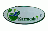 Karmeshu