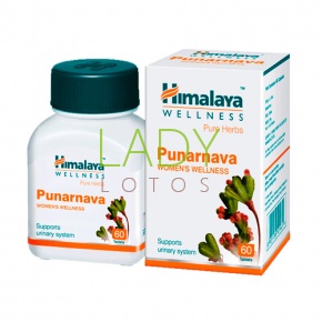 Пунарнава - при лечении заболеваний почек / Punarnava Himalaya 60 табл