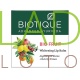 Бальзам для губ Био Фрукты Биотик / Bio Fruit Lip Balm Biotique 12 гр