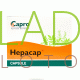 Хепакап - тоник для печени / Hepacap Capro 100 кап